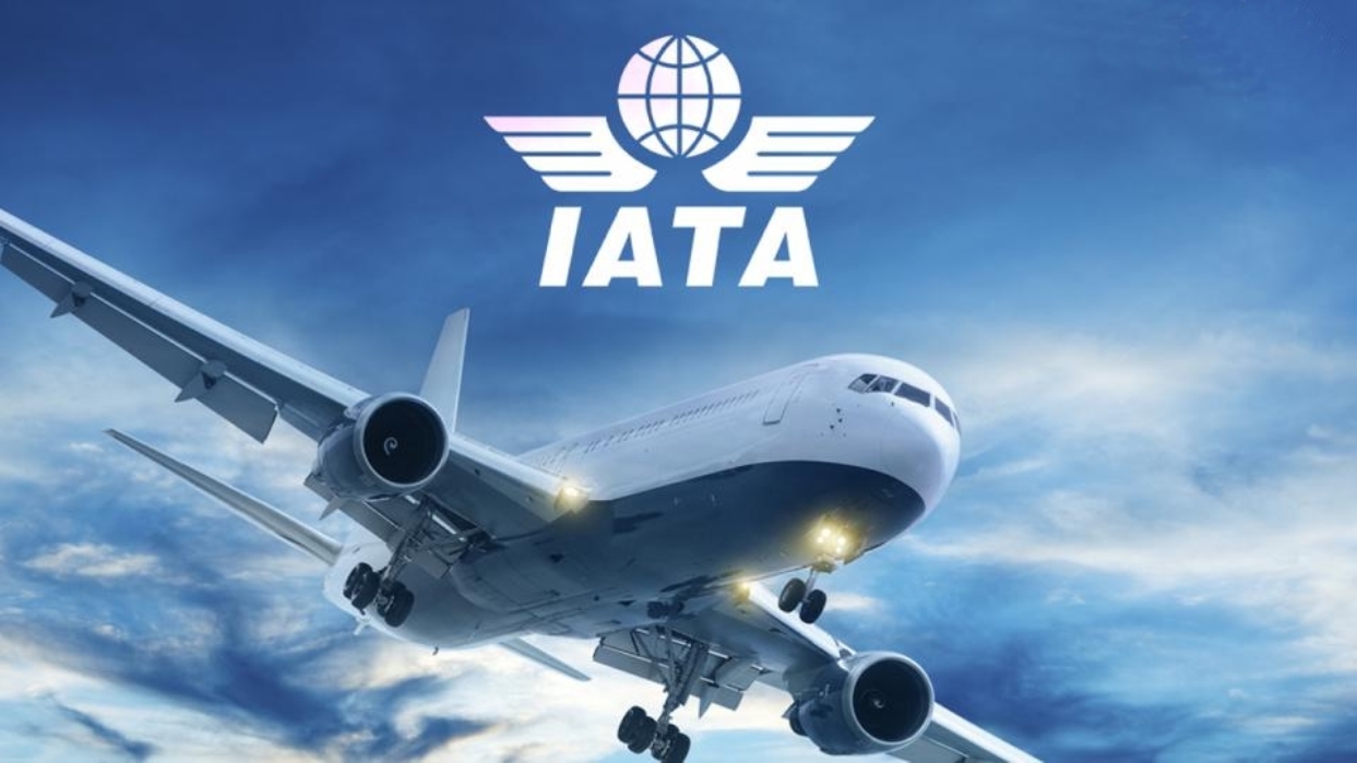 IATA IMAGEN PRINCIPAL IATA